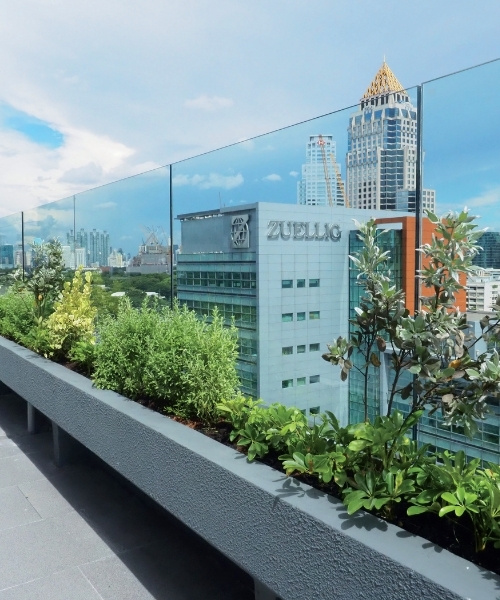  Transline CC Y 180-Continuous